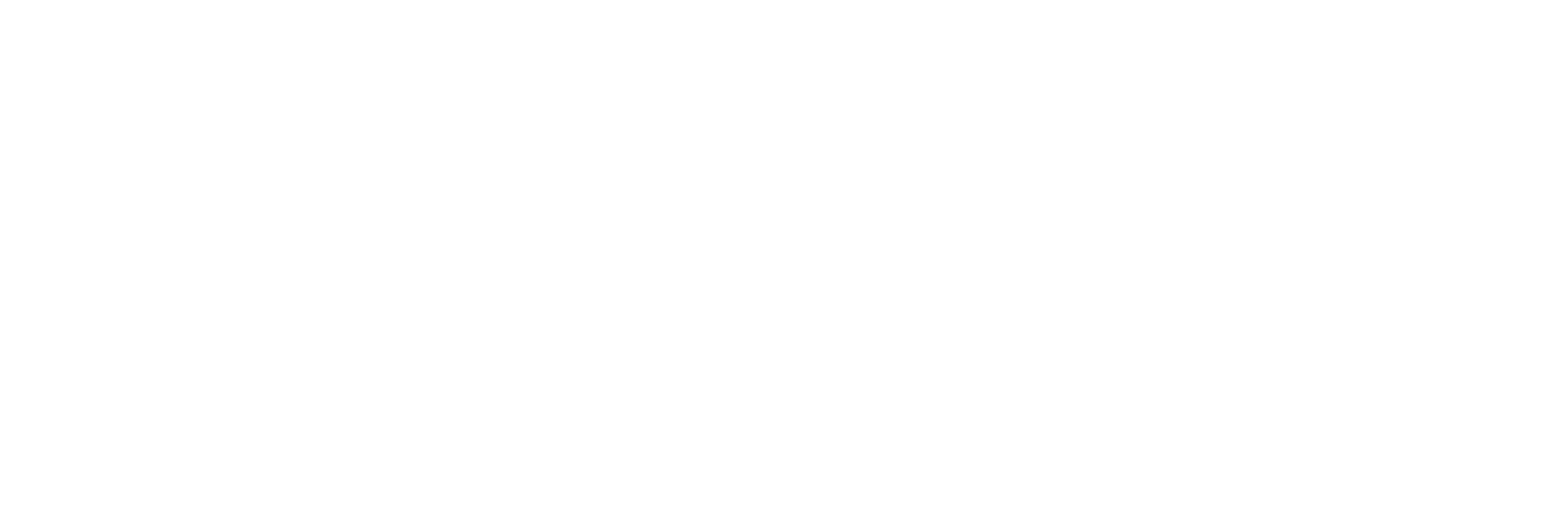 Flatfish Software Solutions